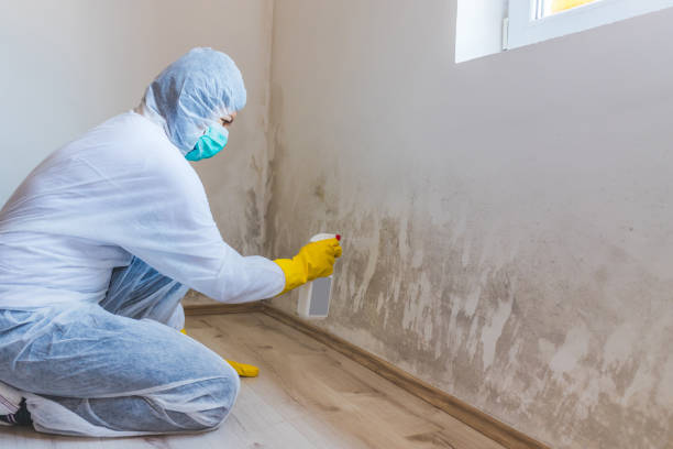 Mold inspector in Barnesville performing thermal imaging