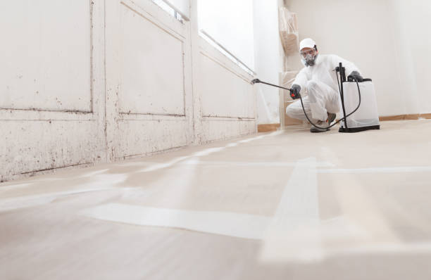 Black mold remediation team in Barnesville