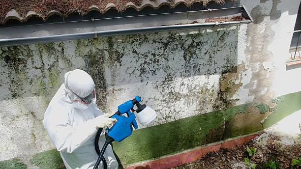 Mold Removal service in Barnesville